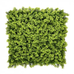 JARDIN VERTICAL 50X50CM...