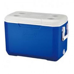 NEVERA 48 LITROS POLY -...