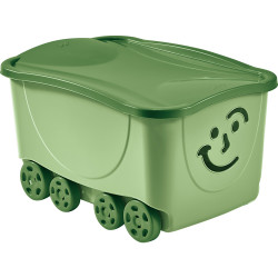BAUL FANCY SMILE BOX CON...