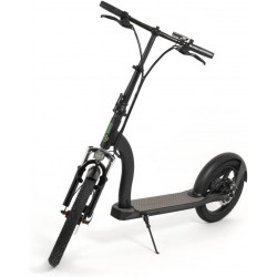 PATINETE ELECTRICO 350W 2XL...