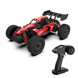 COCHE RACING RC FAST A...