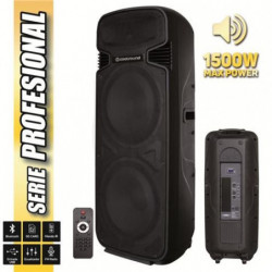 ALTAVOZ AUTOAMPLIFICADO...