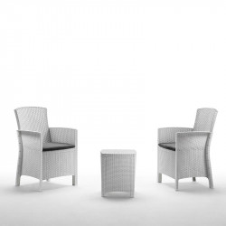 SET DE JARDIN 2 SILLONES +...