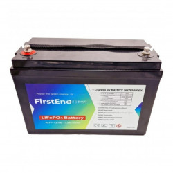 BATERIA LITIO LIFEPO4 100...