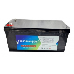 BATERIA LITIO LIFEPO4 300...