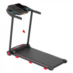 CINTA DE ENTRENAMIENTO...