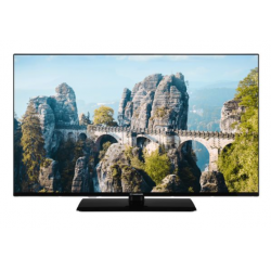 TV LED 43" - VANGUARD...