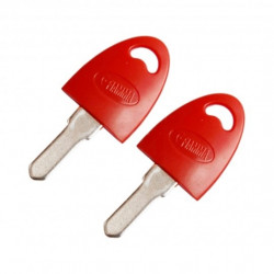 LLAVE VIRGEN DOOR FIAMMA