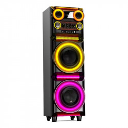 ALTAVOZ SERIE CORO 2X10"...