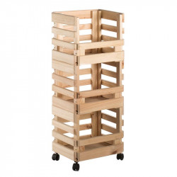 CARRO EVOLUTION 90X38X30CM...