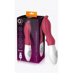 LINK&JOY VIBRADOR BULDY USB...