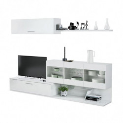 MODULO SALÃN TV...