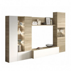 MODULO SALÃN TV...