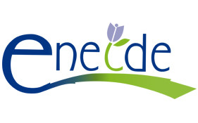 ENEIDE